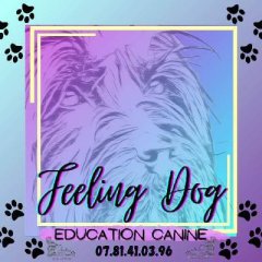 Feeling dog